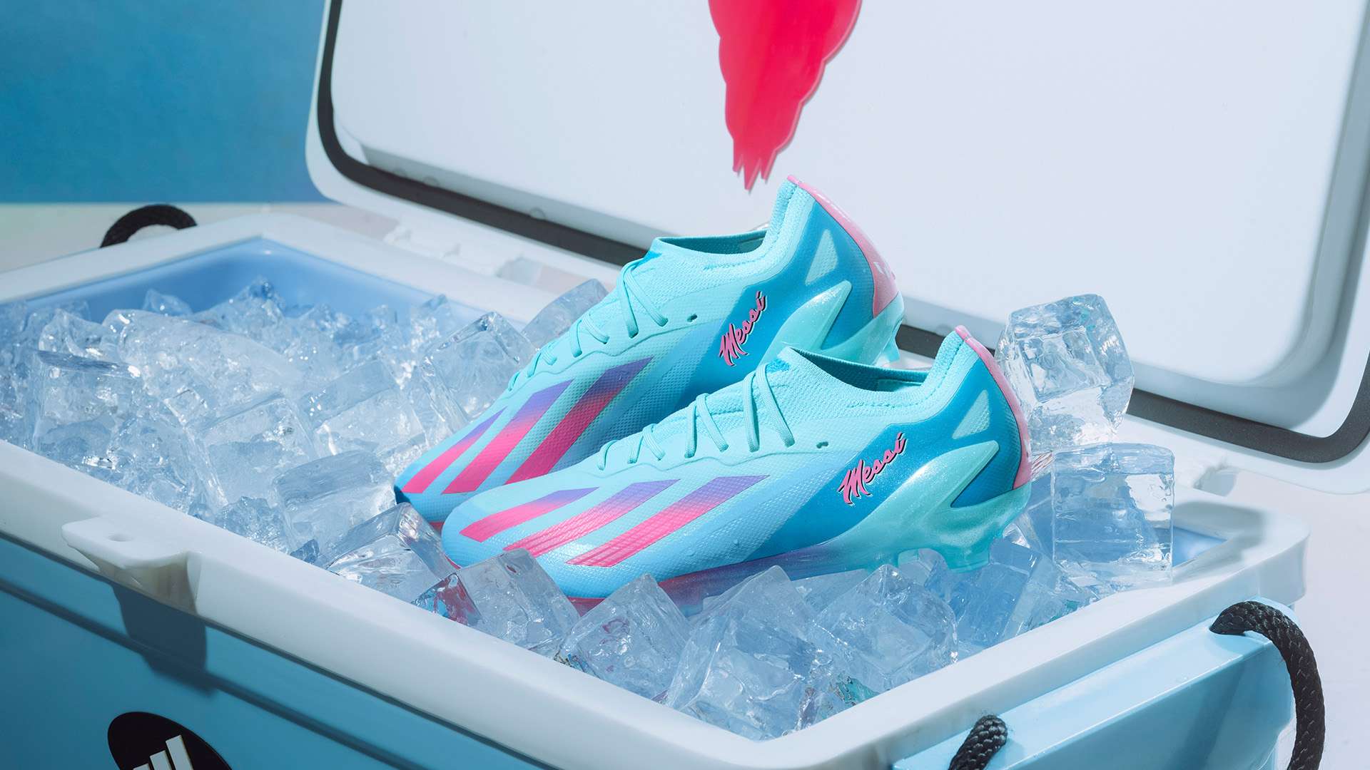 阿根廷展示 阿根廷展示